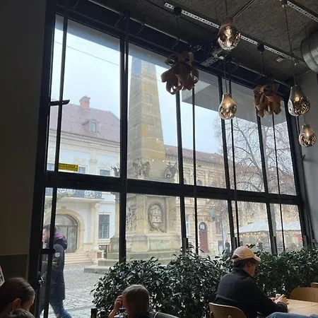 Ultracentral Piata Muzeului Апартаменты *